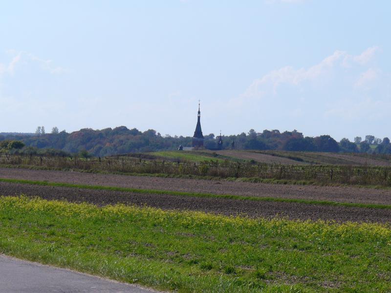 wąwolnica