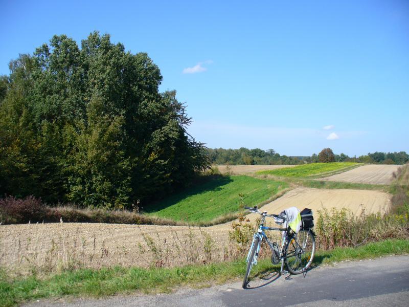 przed, wąwolnicą