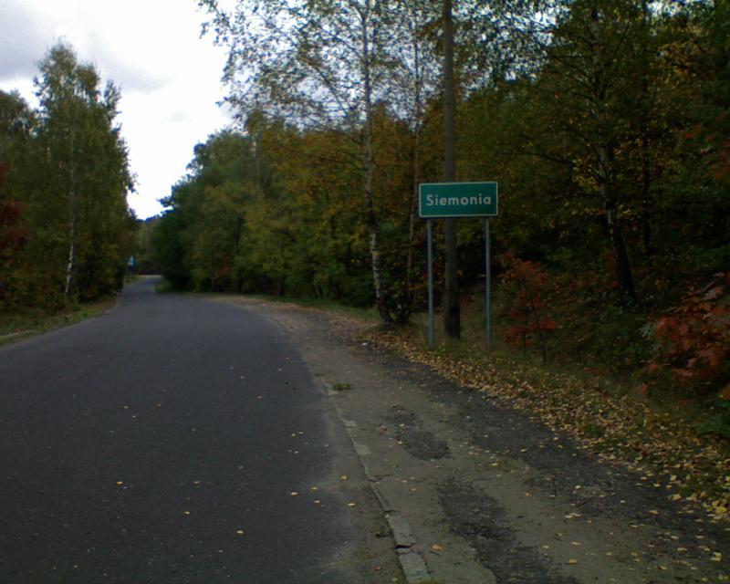 siemonia, jesiennie, wietrznie