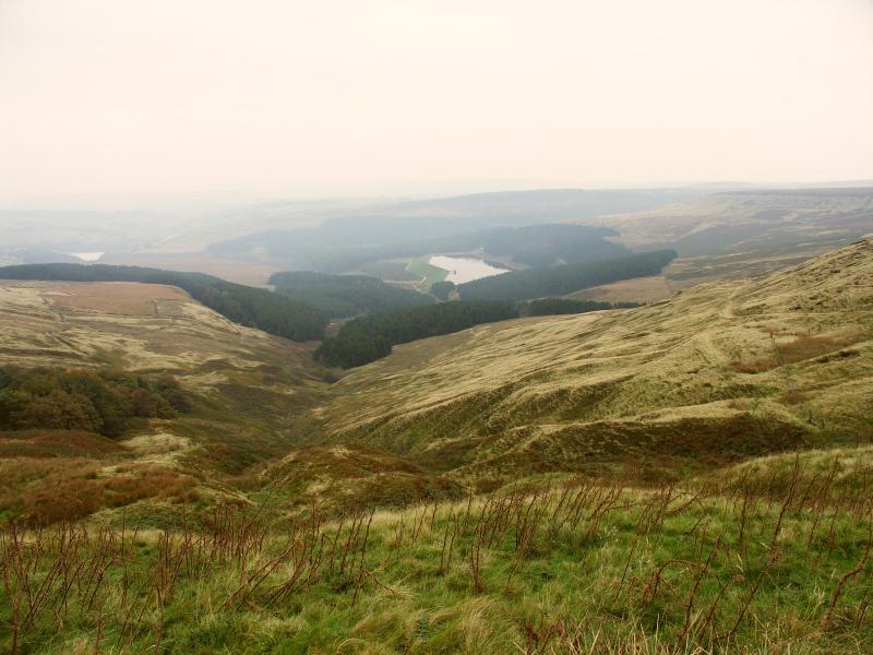 holme