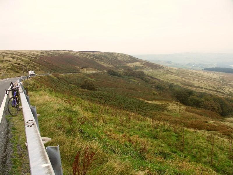 holme
