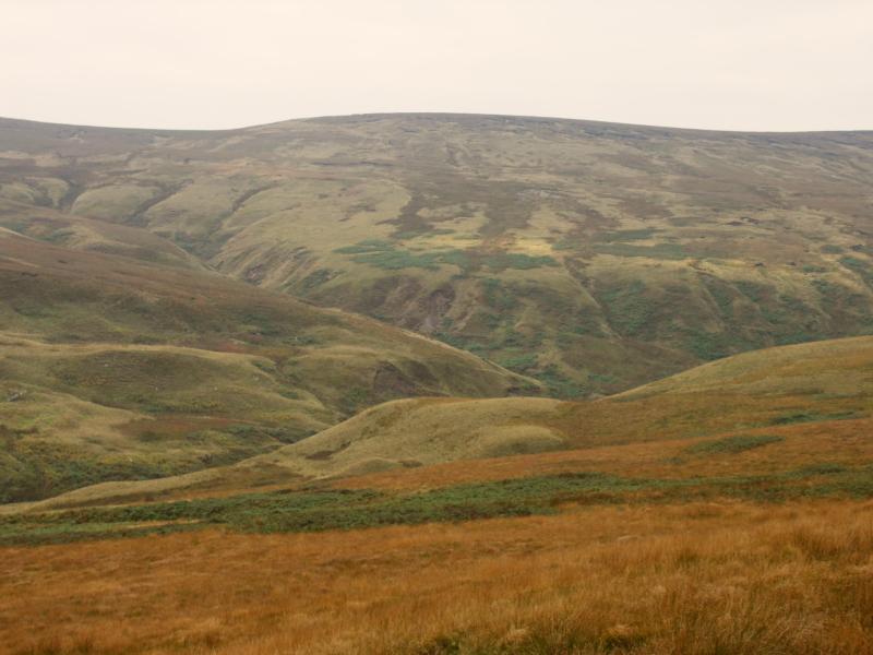 holme