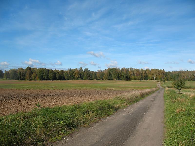las, droga, mazury