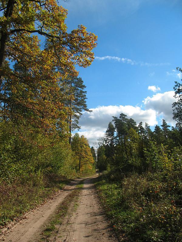 las, droga, mazury