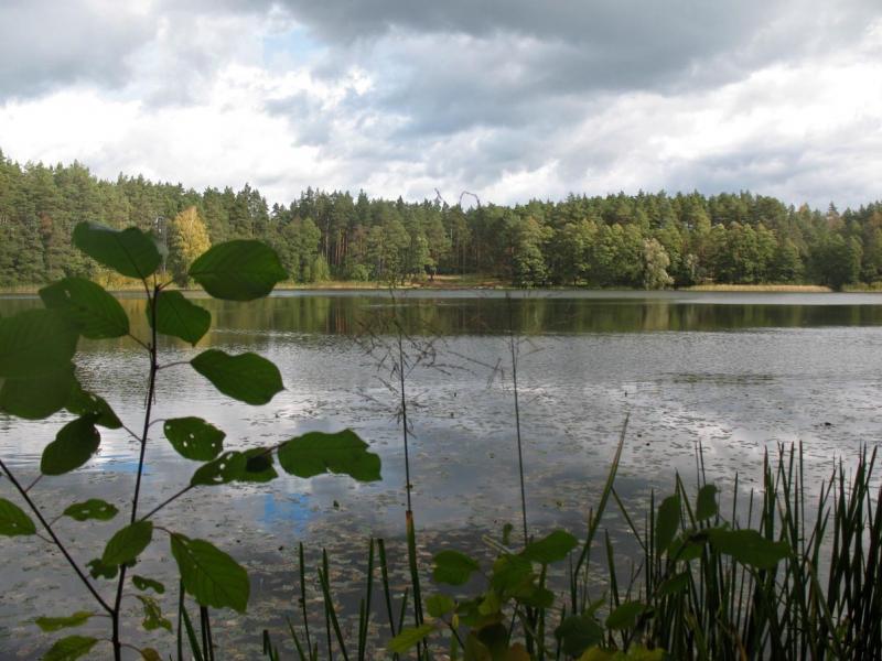 jezioro, mazury
