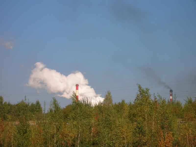 kominy