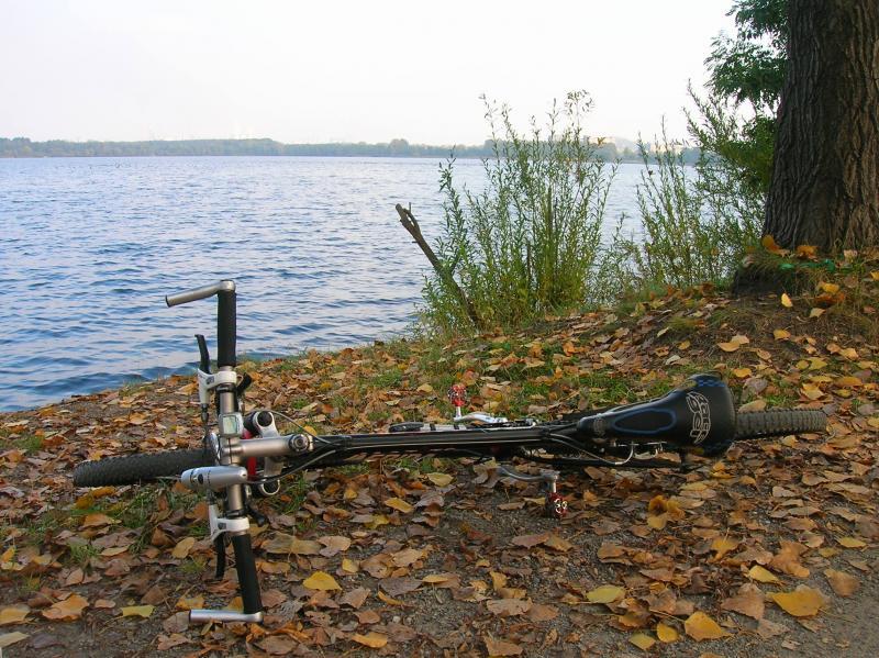 rower