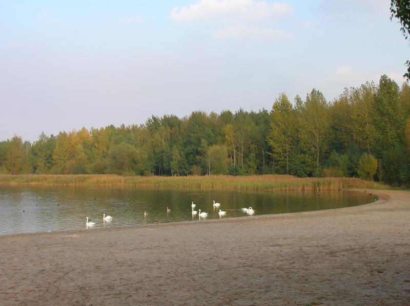 pogoria