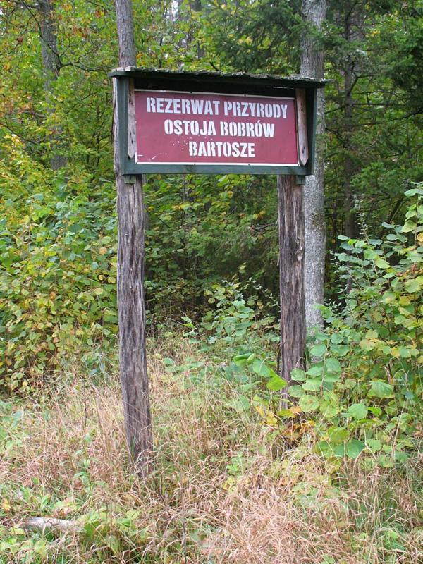 tablica, las, rezerwat