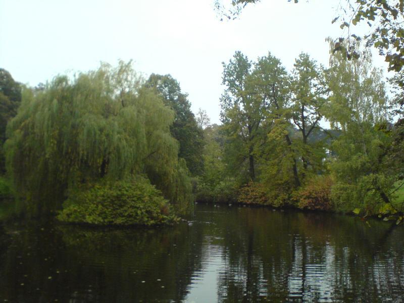 park