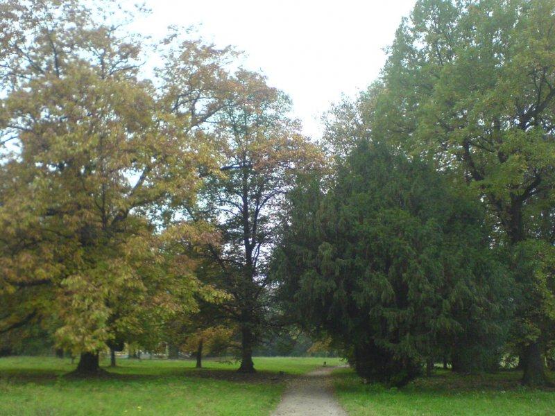 park