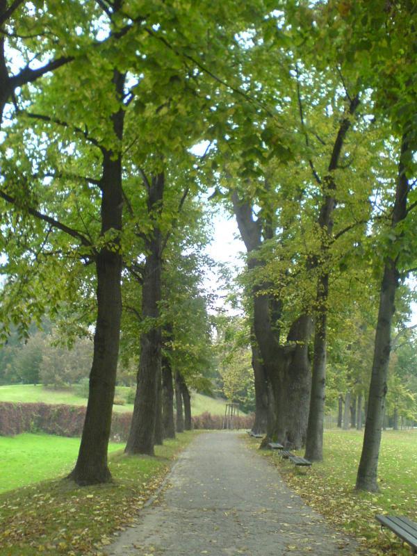 park