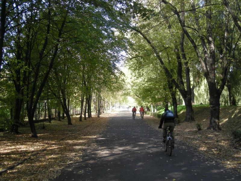 rower, park, sosnowiec