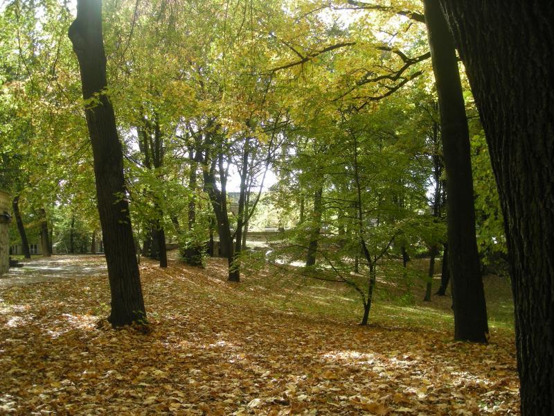 park, sosnowiec