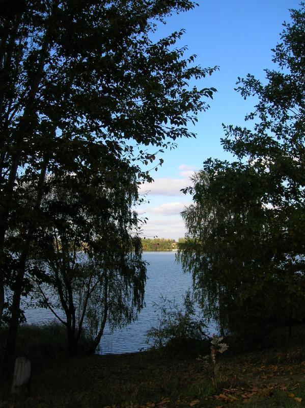 pogoria