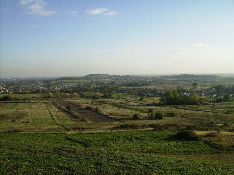 widoczek, jesiennie, gorasiewierska