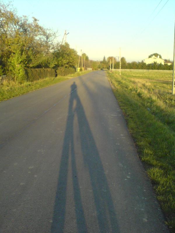 cień