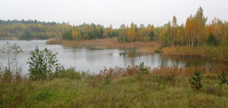 jezioro, jesień