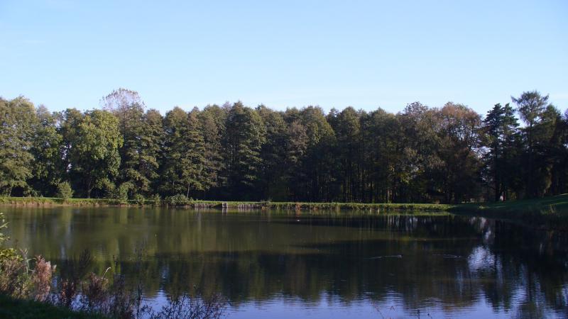 czesławice