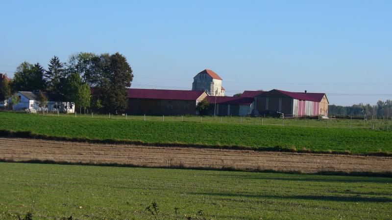 wojciechów