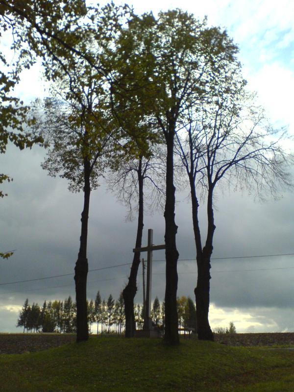 las jesień