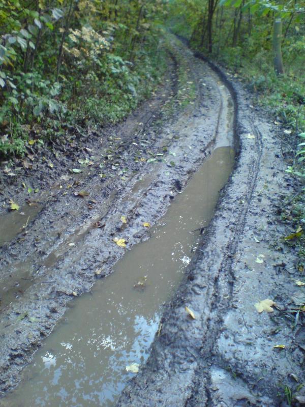 błoto
