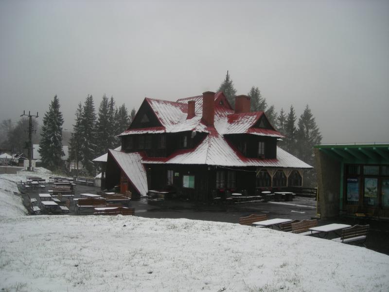 równica, schonisko