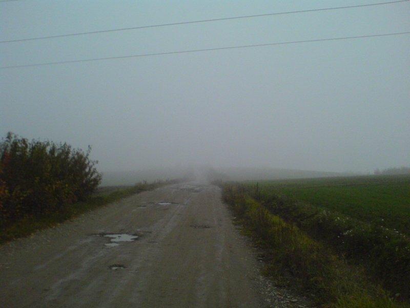 mgła