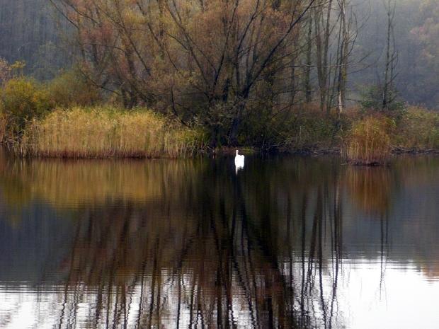 jezioro głębokie szczecin woda