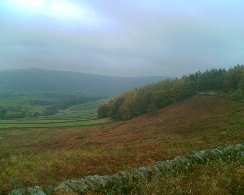 grassinton