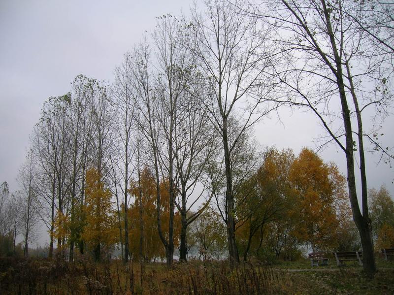 jesien