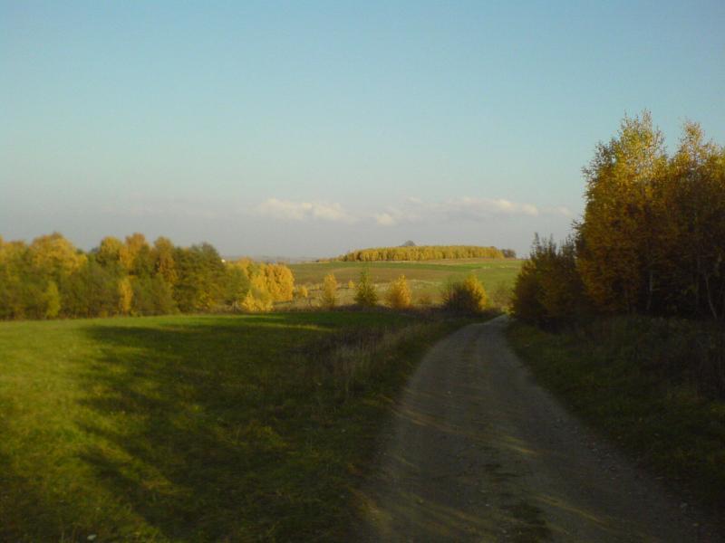szuter droga