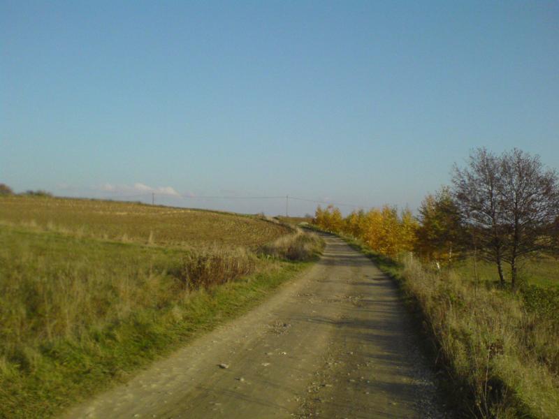 szuter droga