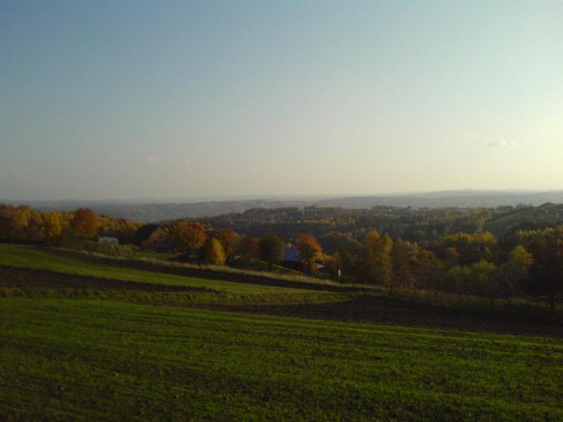 góreczki jesień