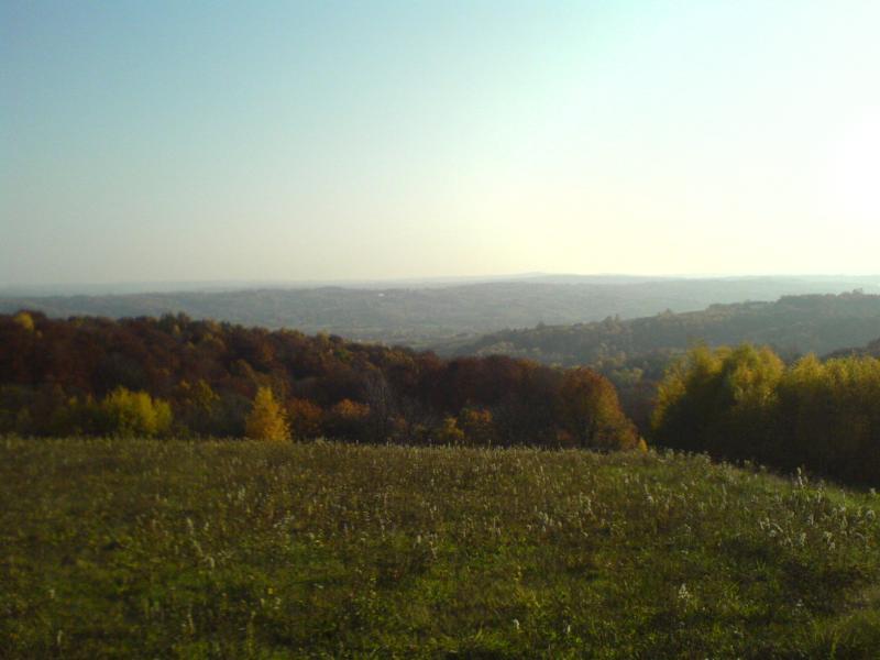 góreczki jesień