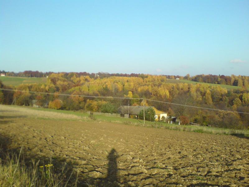 góreczki jesień