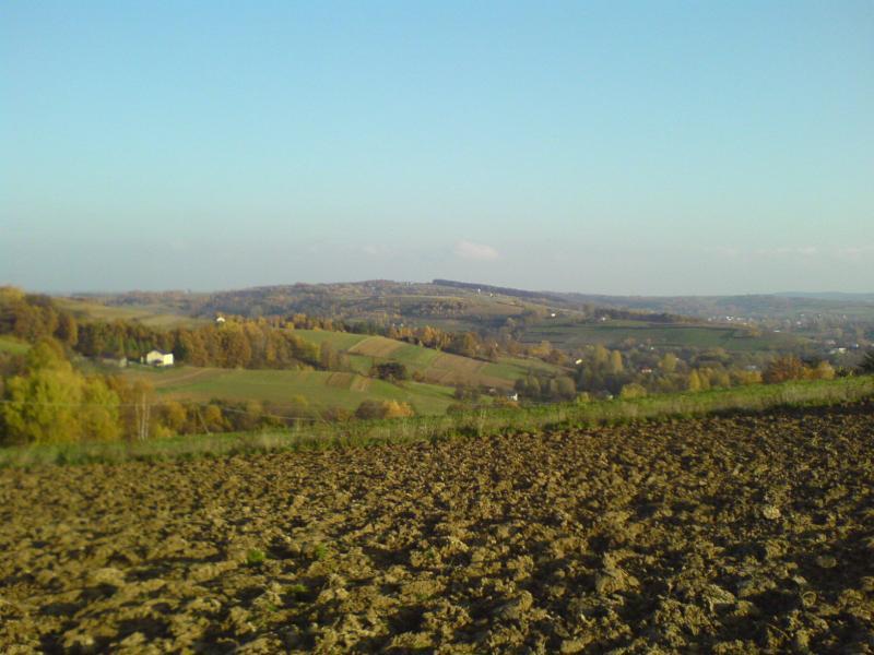 góreczki jesień