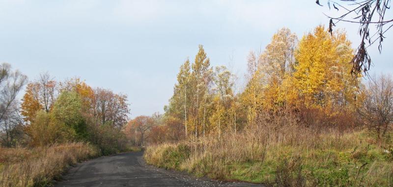 las, droga, mazury