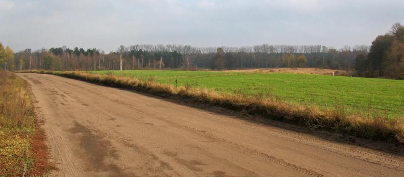 las, droga, mazury