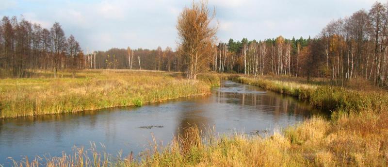 rzeka