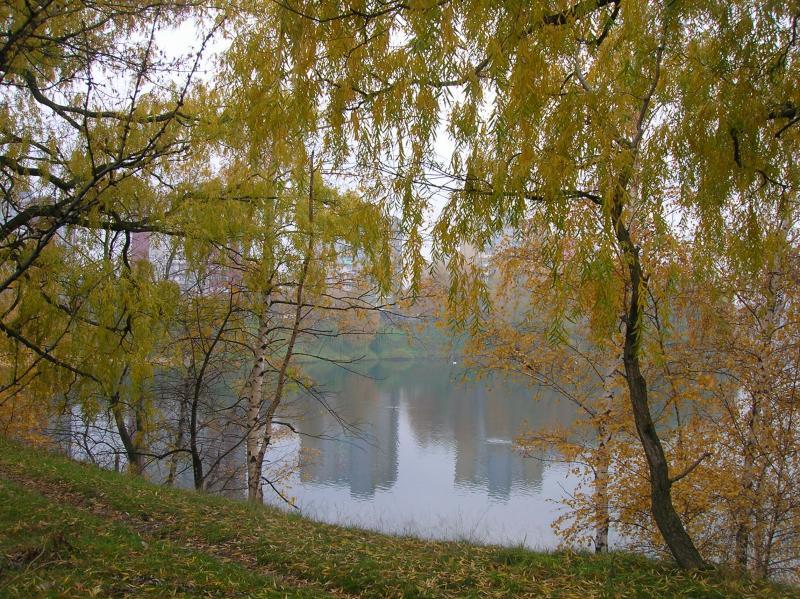 stawiki