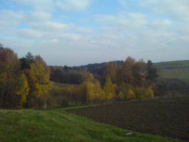 góreczki jesień