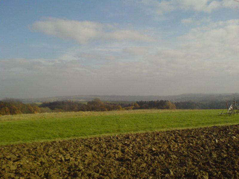 góreczki