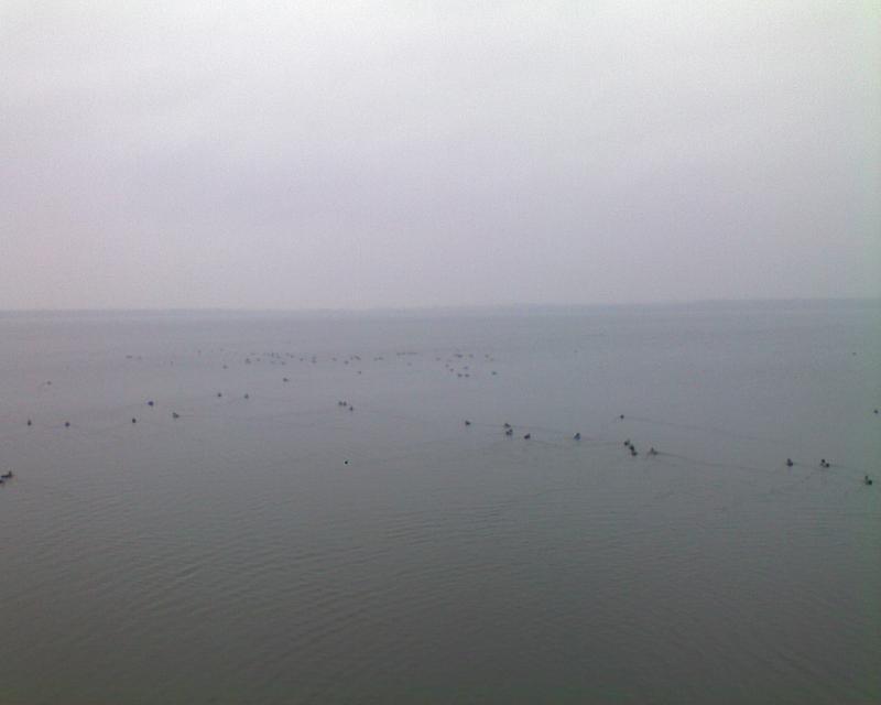 zalew, mzawka