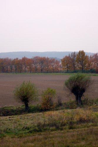 odra, niemcy