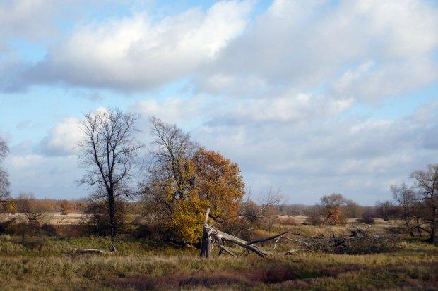 odra, niemcy