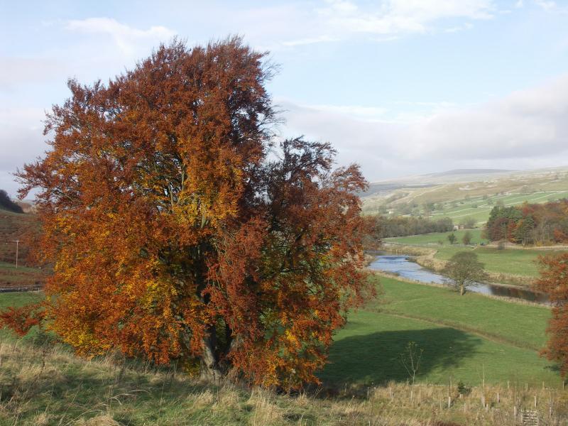 yorkshire dales