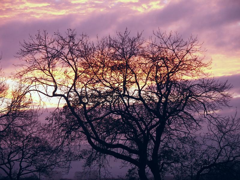 otley