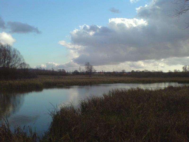 zalew