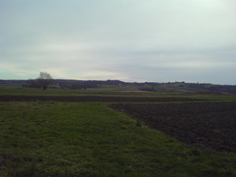 góreczki jesień